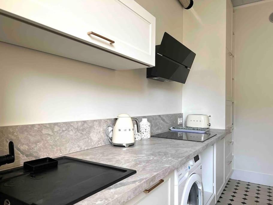 Appartement Entierement Renove Proche Gare 그르노블 외부 사진